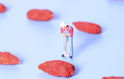 ��������轹���8